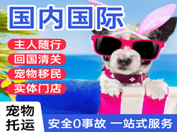大连航空邮寄国际宠物托运 【国